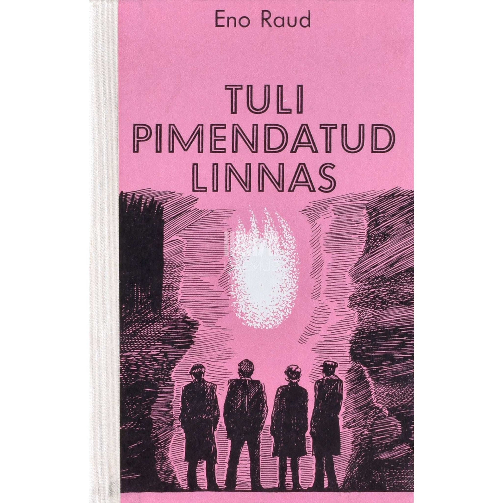 Eno Raud - Tuli pimendatud linnas