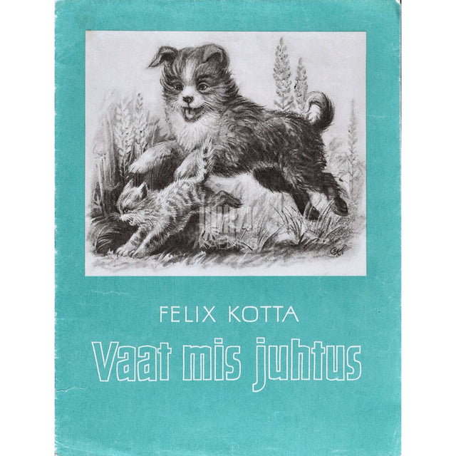 Felix Kotta - Vaat mis juhtus