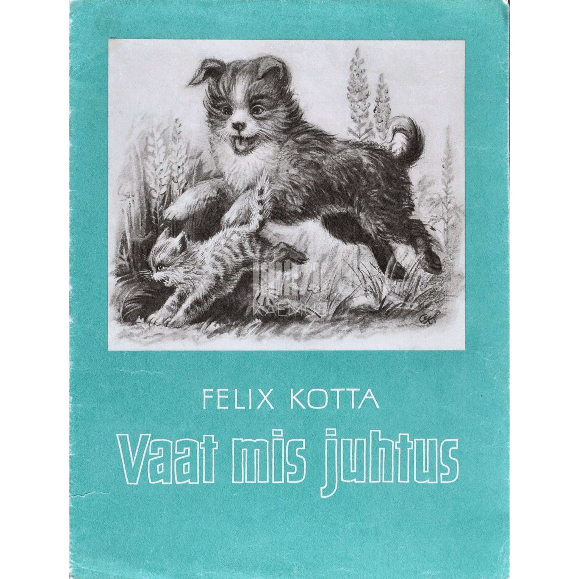 Felix Kotta - Vaat mis juhtus