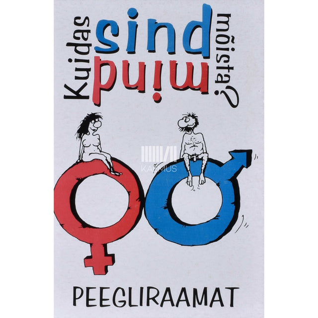 ... - Kuidas sind mind mõista? Peegliraamat