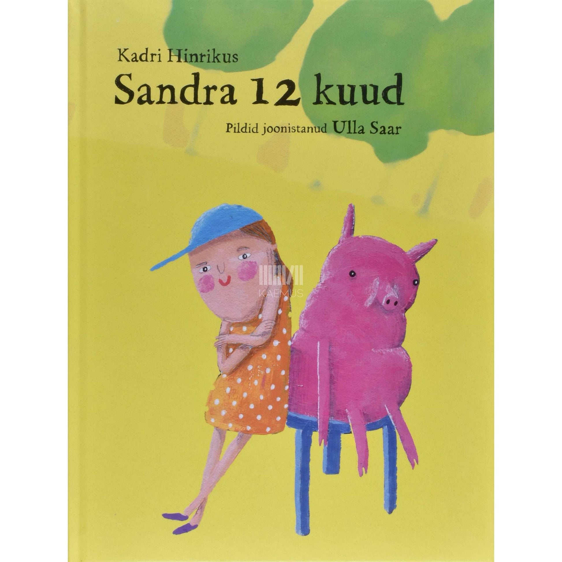 Kadri Hinrikus - Sandra 12 kuud