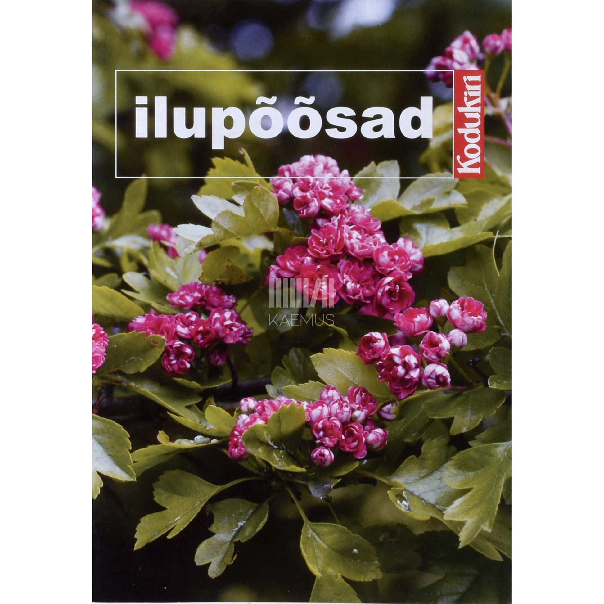 Irma Tungal - Ilupõõsad