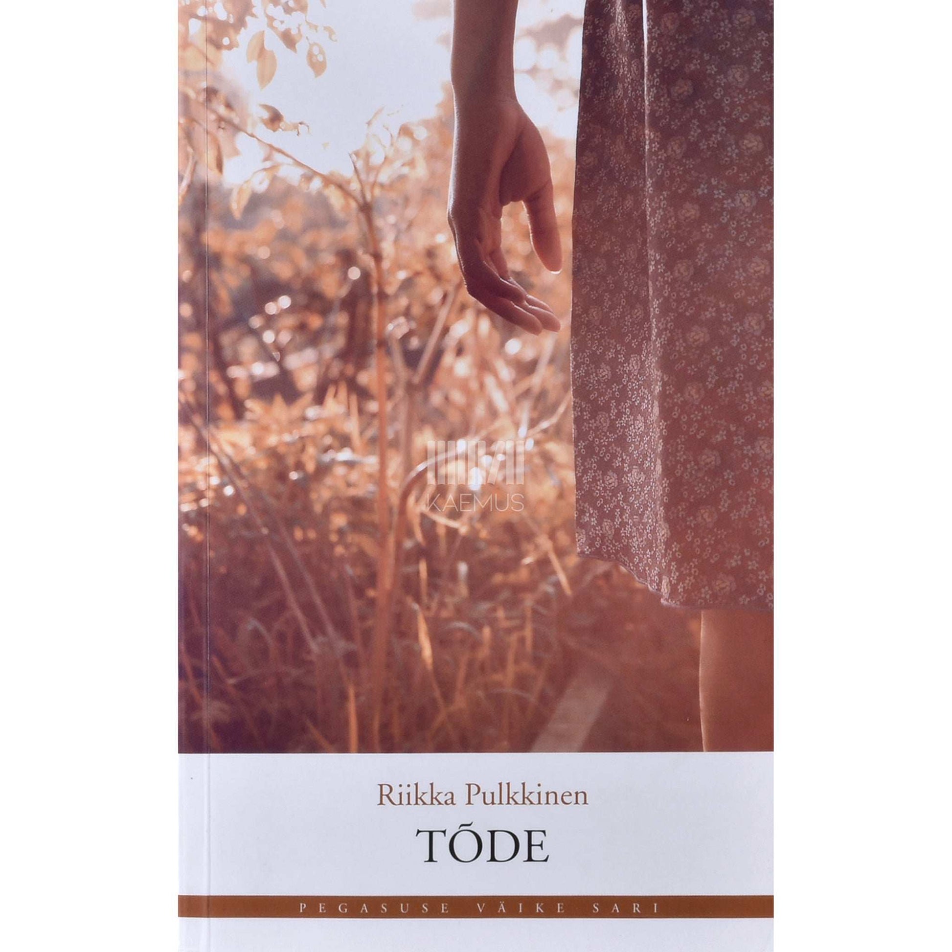 Riikka Pulkkinen - Tõde