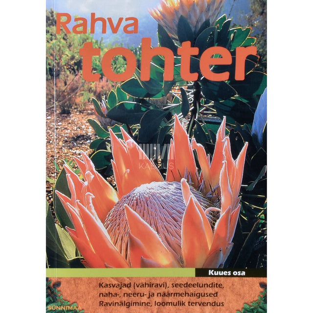 ... - Rahvatohter 6. osa