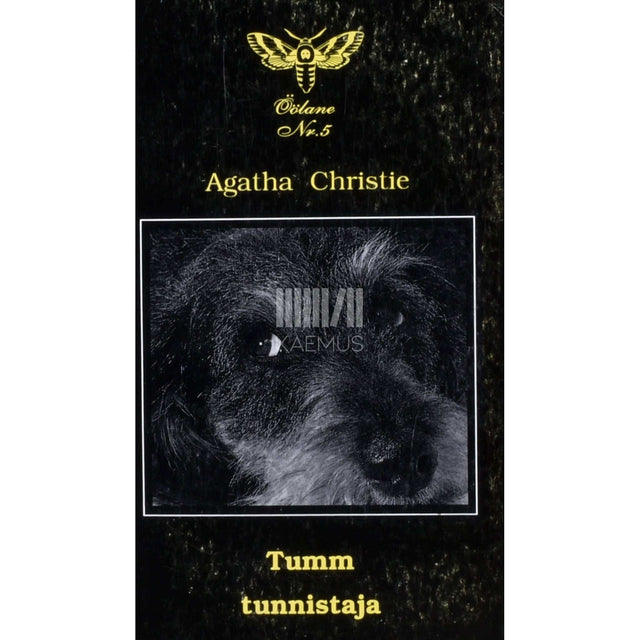 Agatha Christie - Tumm tunnistaja