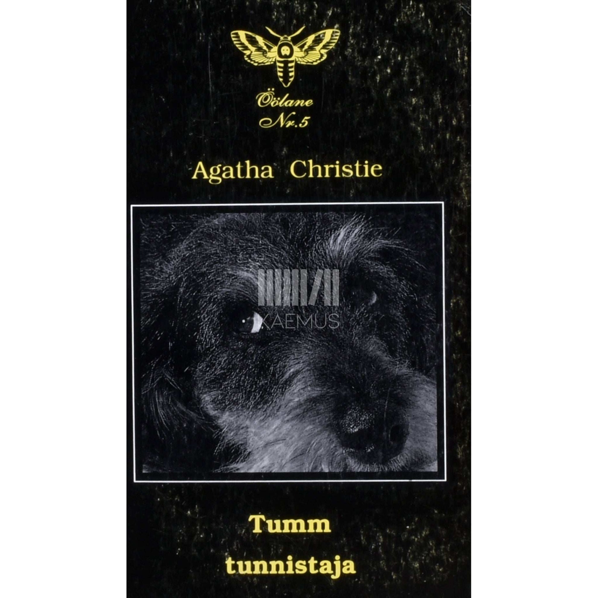 Agatha Christie - Tumm tunnistaja
