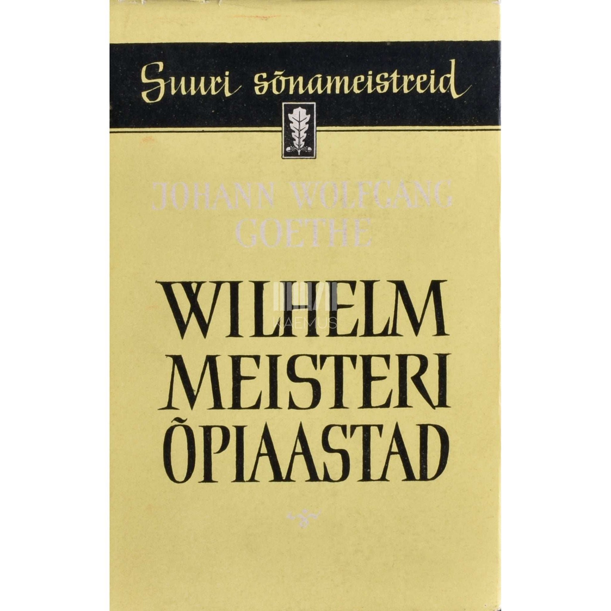 Johann Wolfgang von Goethe - Wilhelm Meisteri õpiaastad