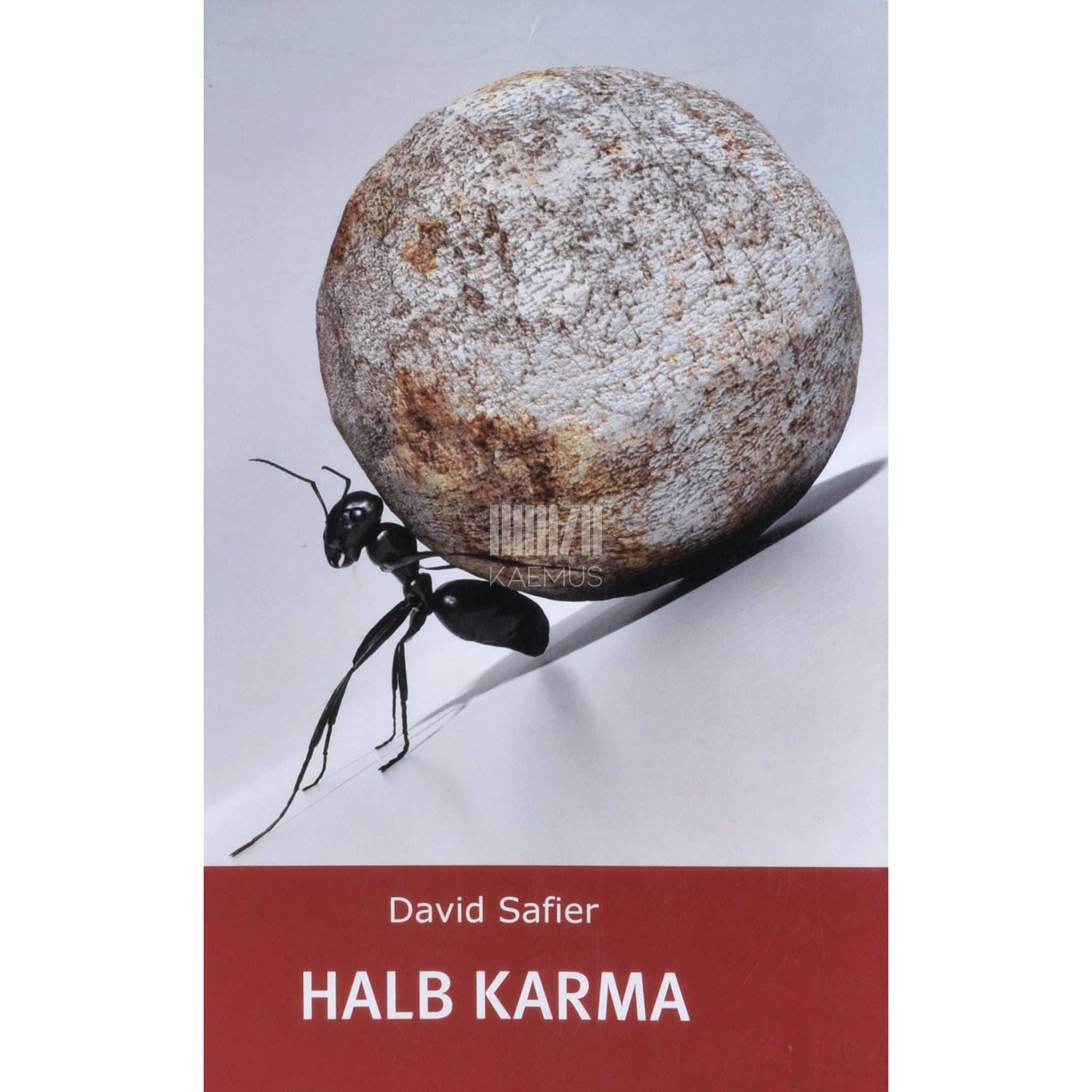 David Safier - Halb karma
