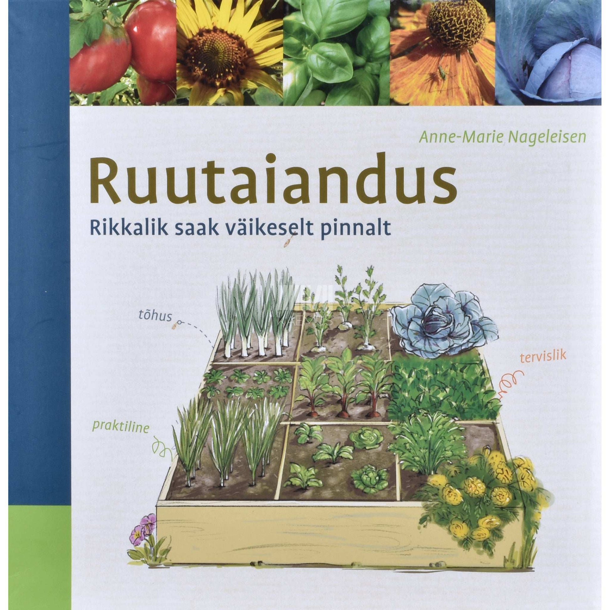 Anne-Marie Nageleisen - Ruutaiandus