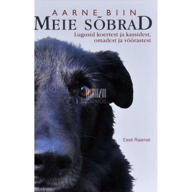 Aarne Biin - Meie sõbrad