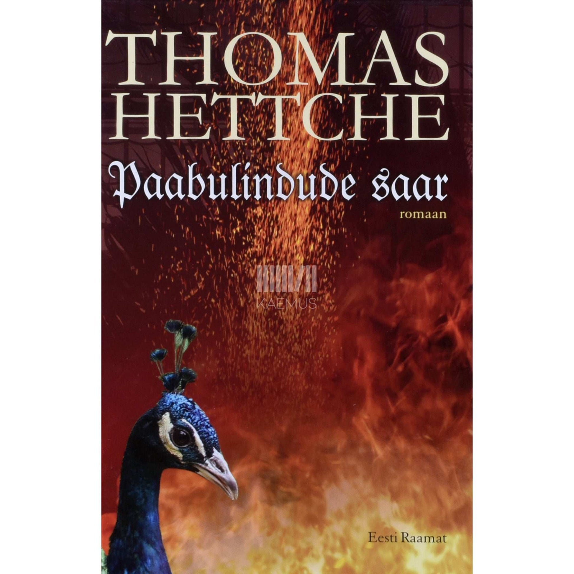 Thomas Hettche - Paabulindude saar