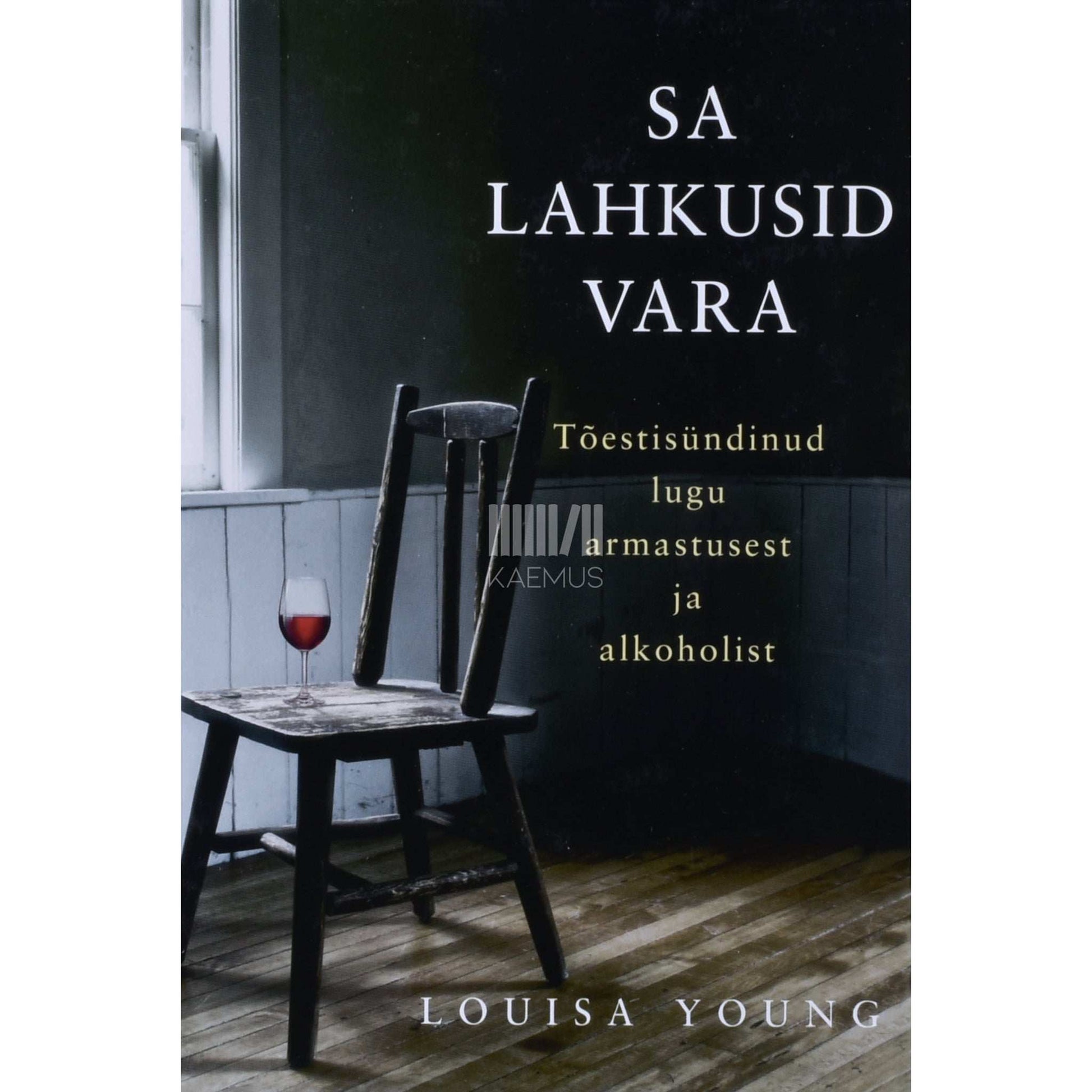 Louisa Young - Sa lahkusid vara