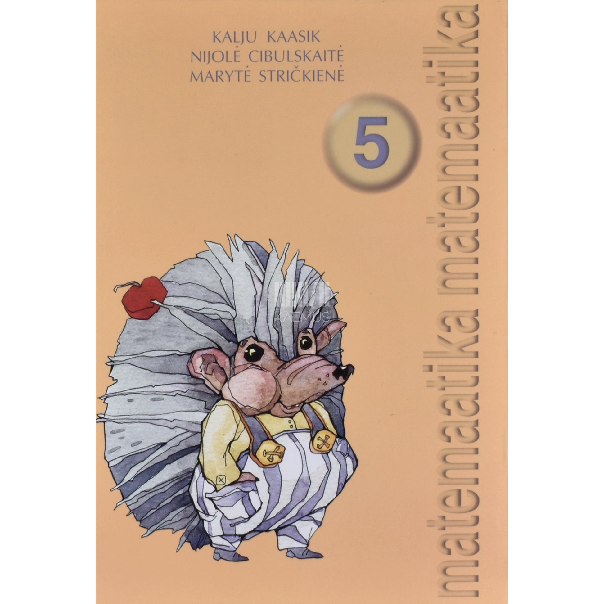 Matemaatika 5. klassile