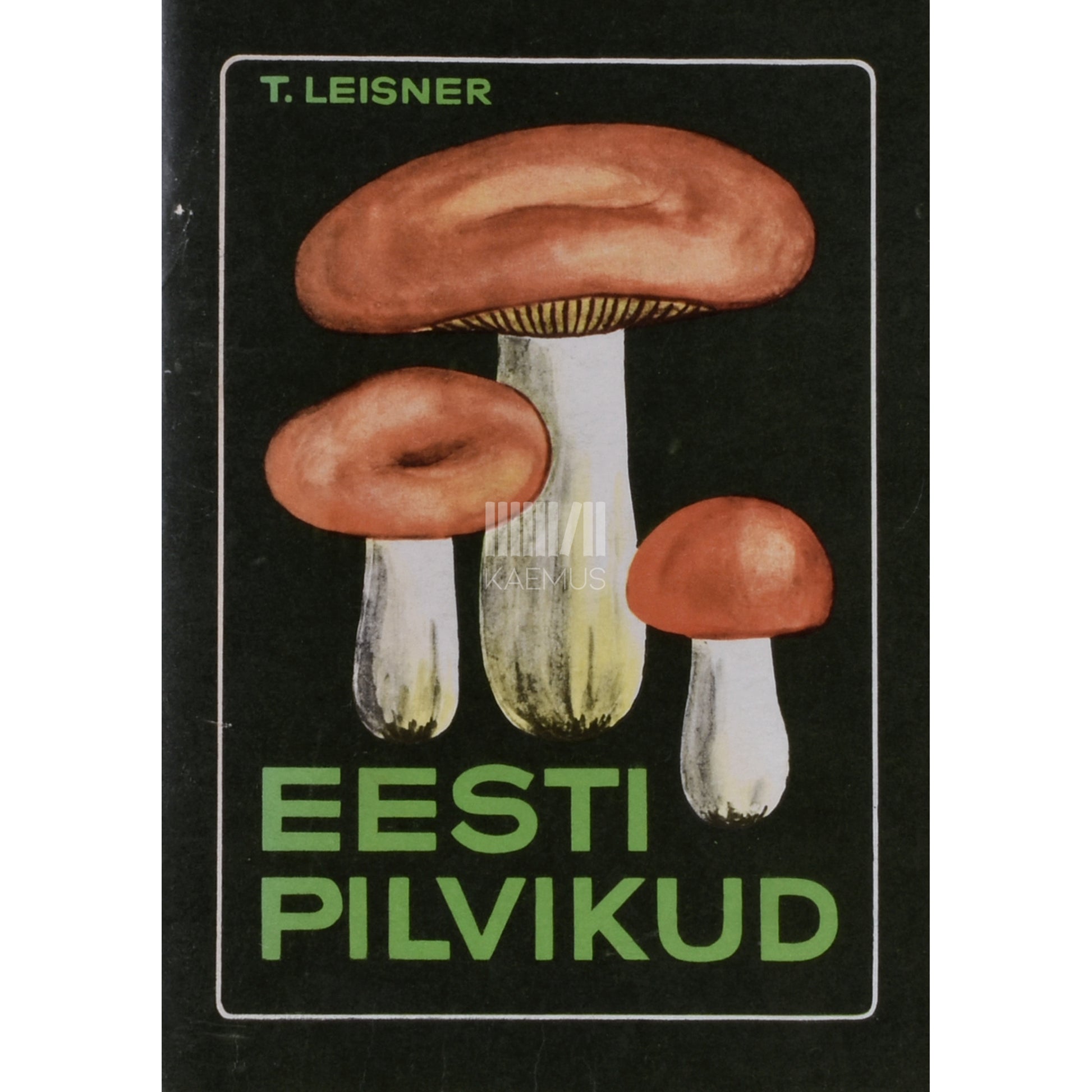 Tõnis Leisner. Eesti pilvikud