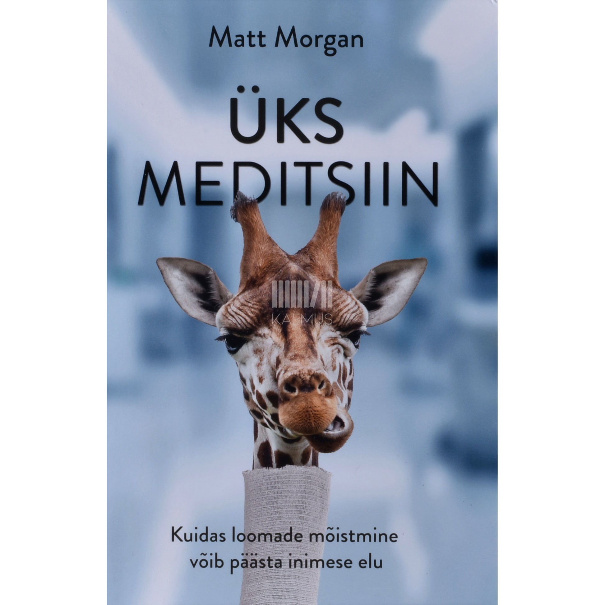 Matt Morgan. Üks meditsiin