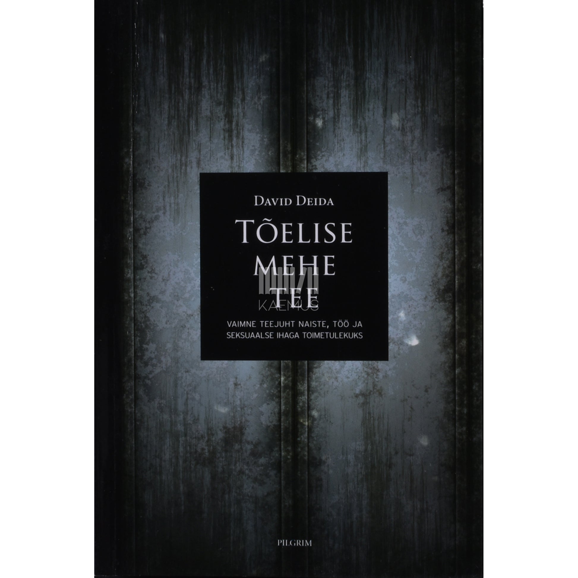 David Deida. Tõelise mehe tee