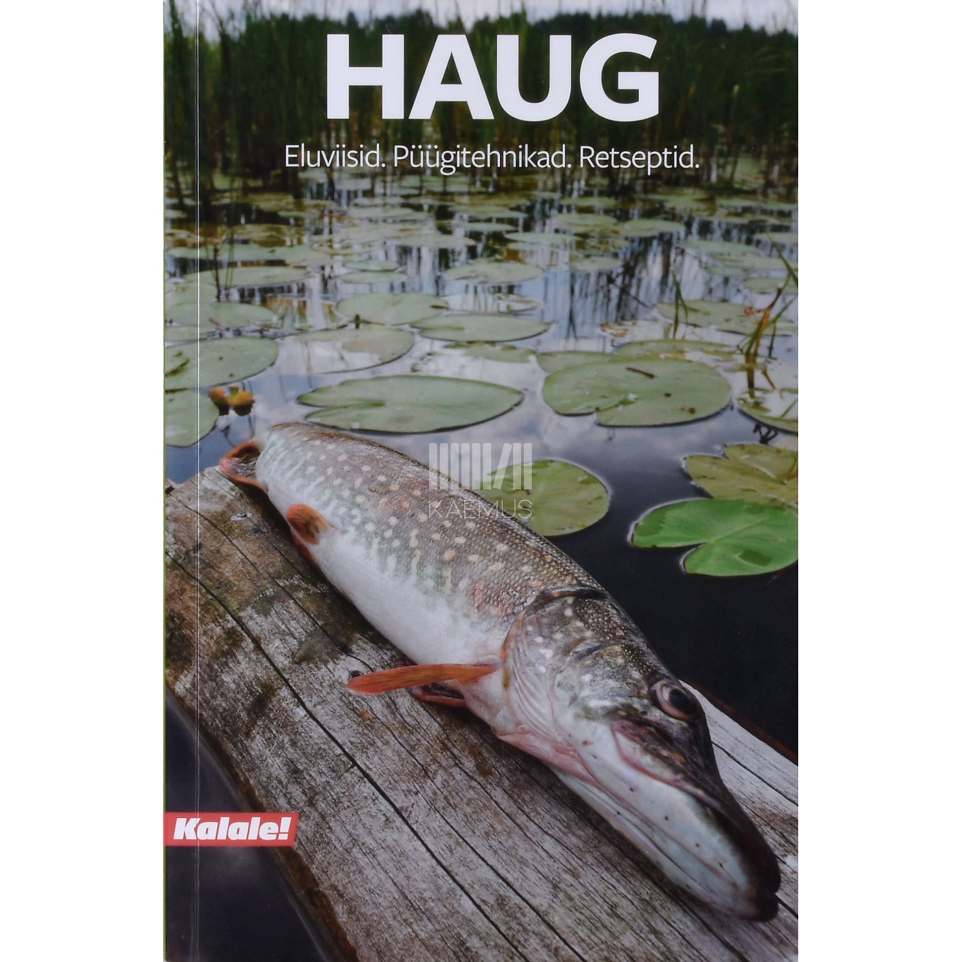 Andres Duuberg|Pille Enden|Arvo Tuvikene. Haug