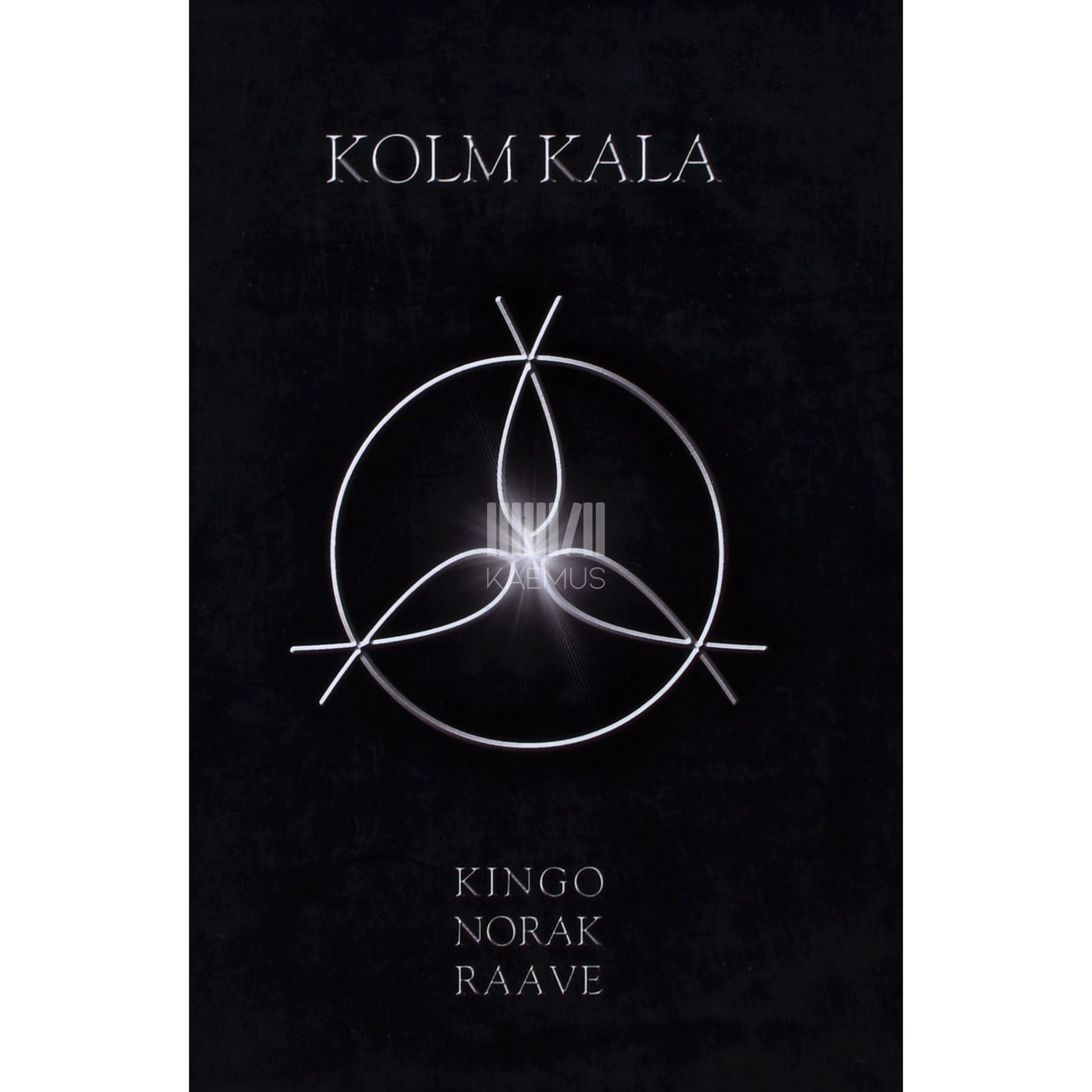 Harri Kingo|Andrus Norak|Raivo J. Raave. Kolm kala. Esseed