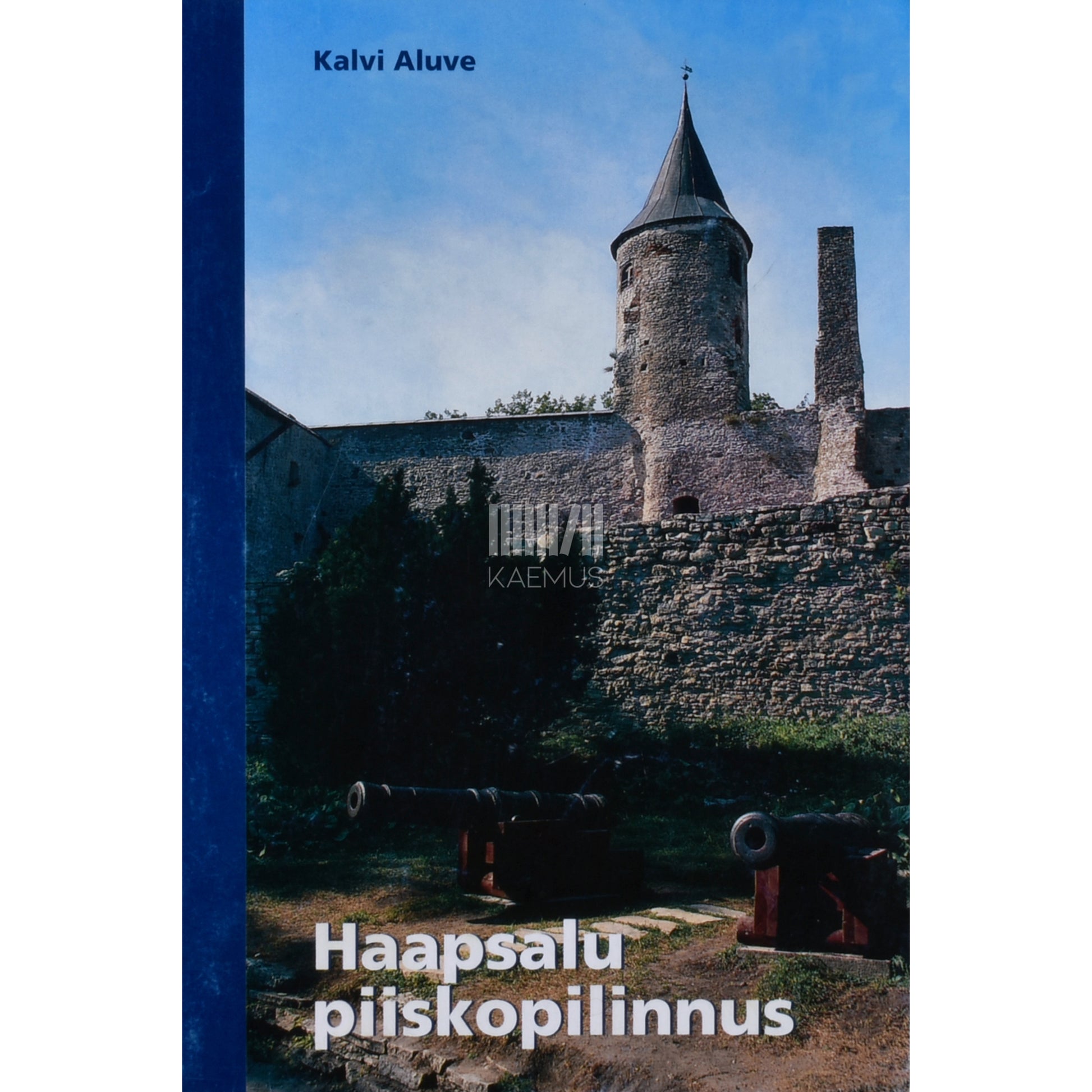 Kalvi Aluve. Haapsalu piiskopilinnus