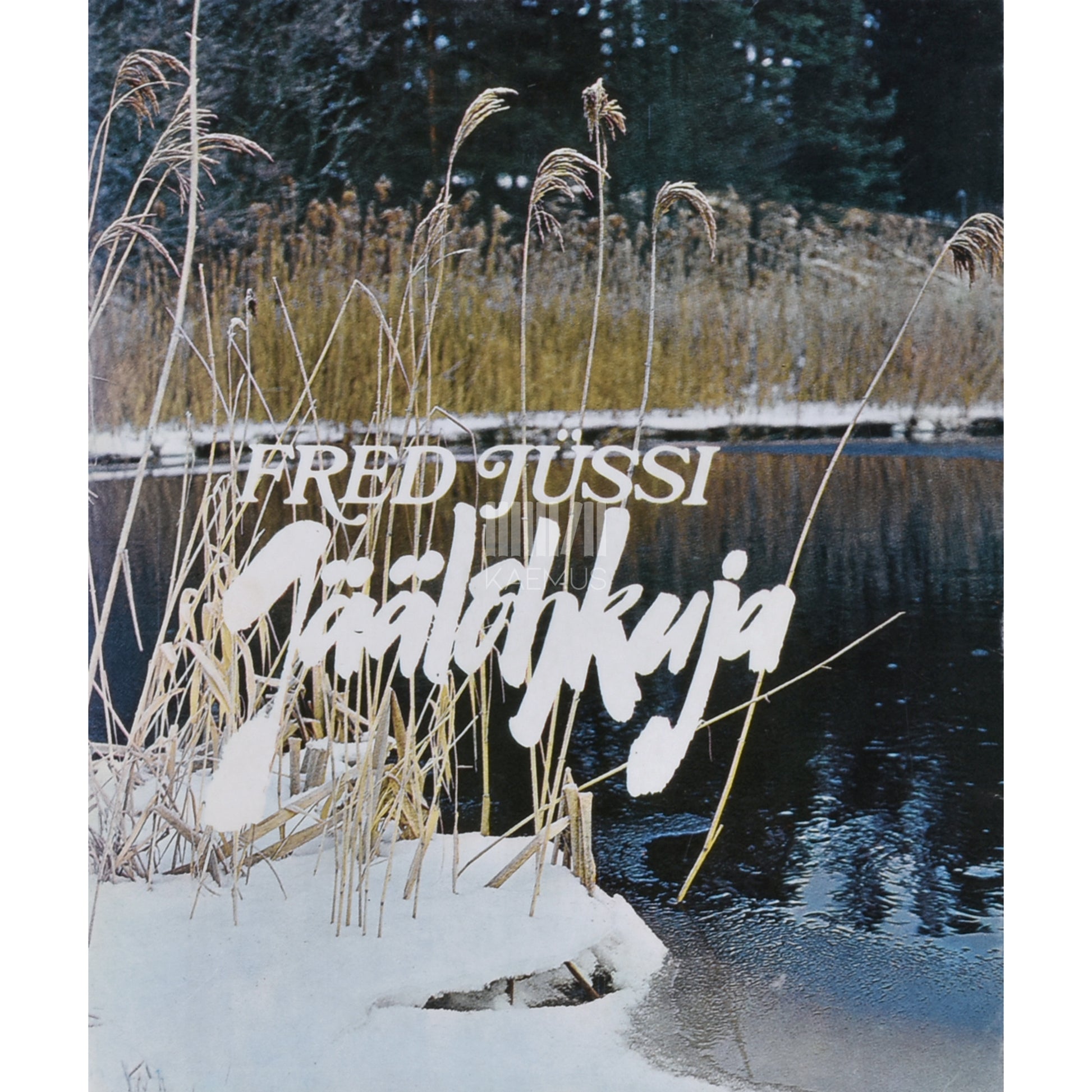 Fred Jüssi. Jäälõhkuja