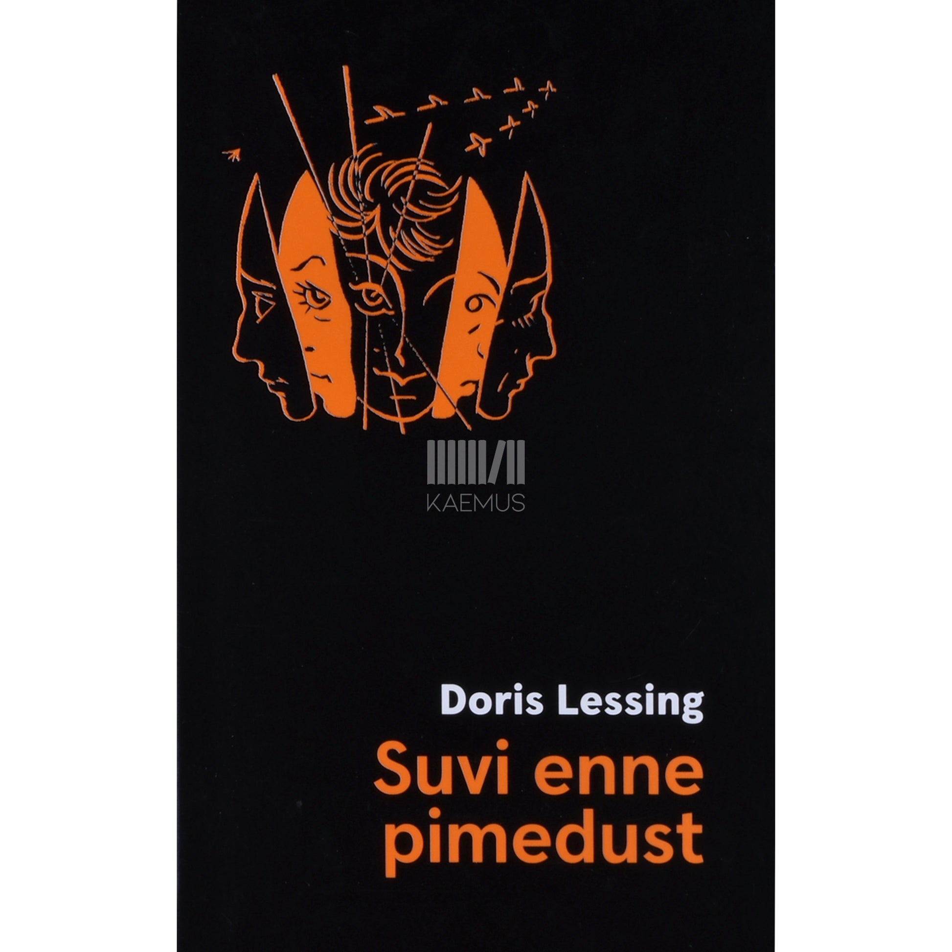 Doris Lessing. Suvi enne pimedust