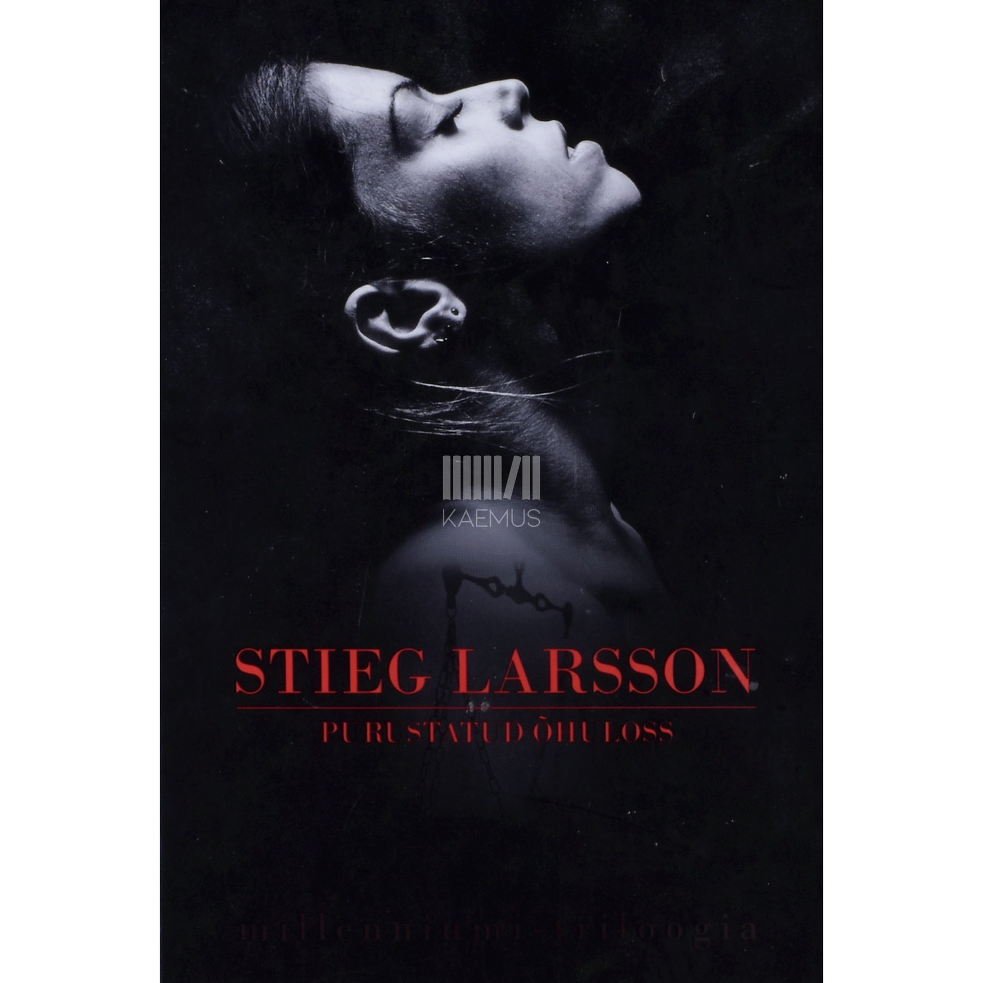 Stieg Larsson. Purustatud õhuloss 3. osa