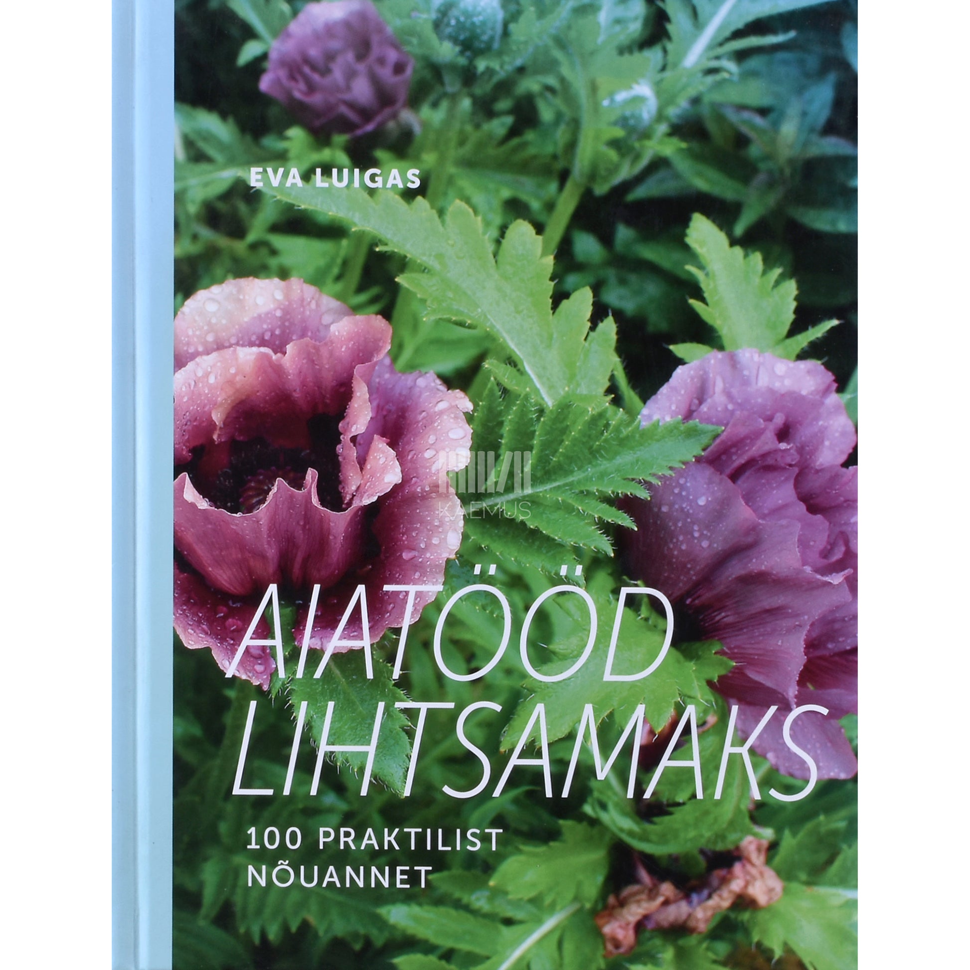 Eva Luigas. Aiatööd lihtsamaks