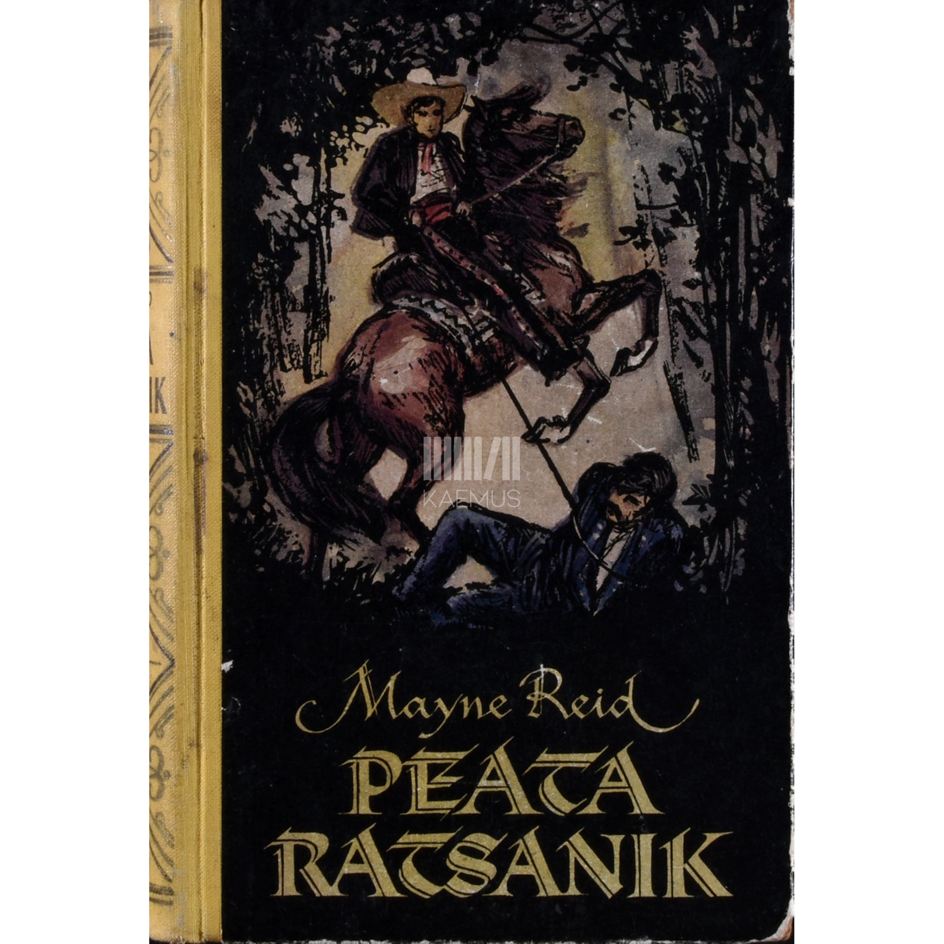 Thomas Mayne Reid. Peata ratsanik. Kummaline lugu Texasest