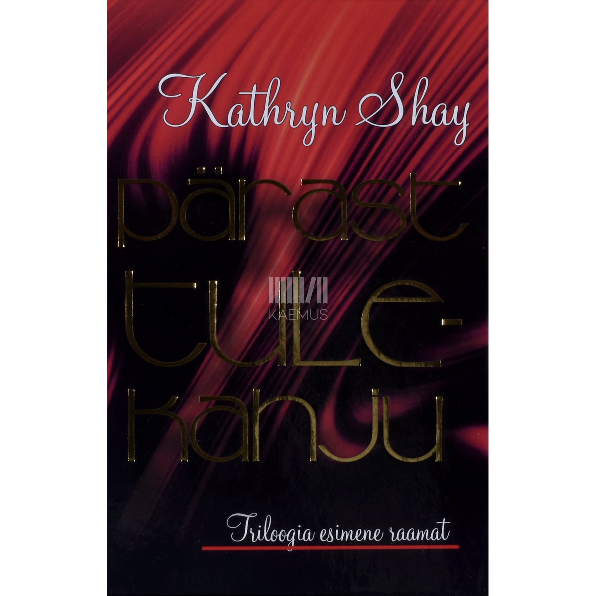 Kathryn Shay. Pärast tulekahju. Triloogia 1. osa