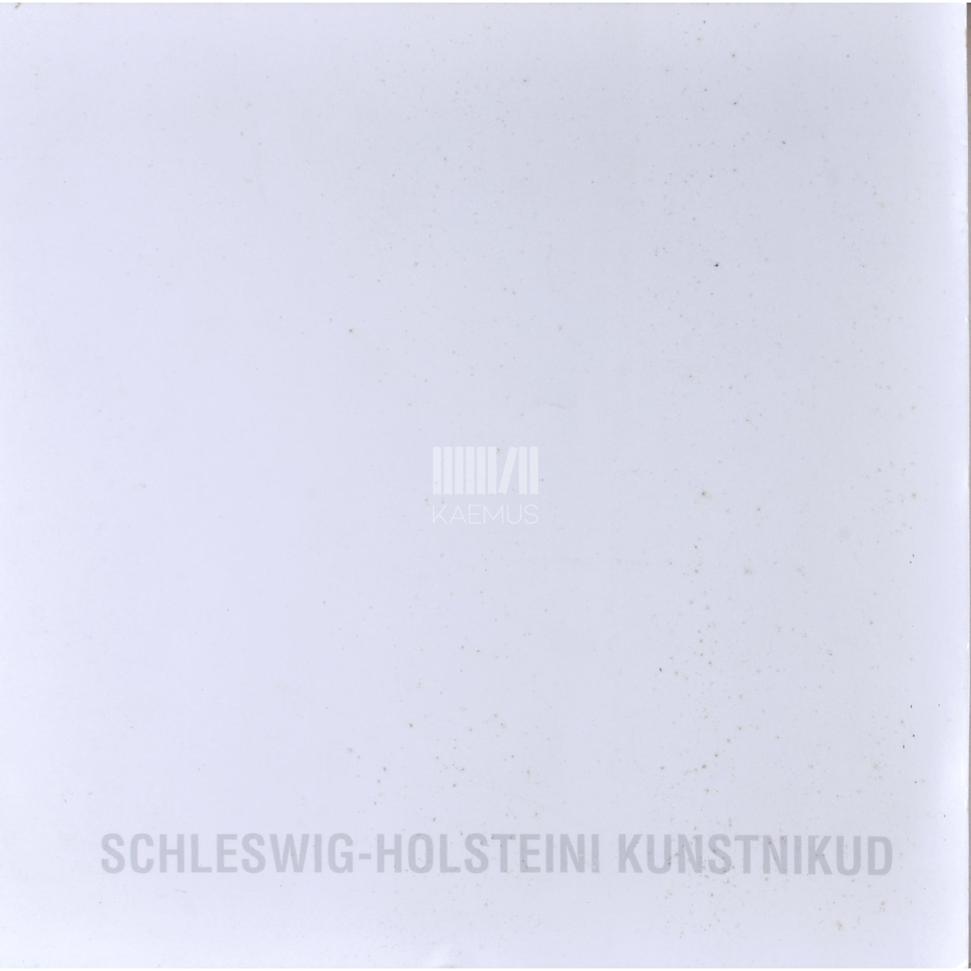 Schleswig-Holsteini kunstnikud