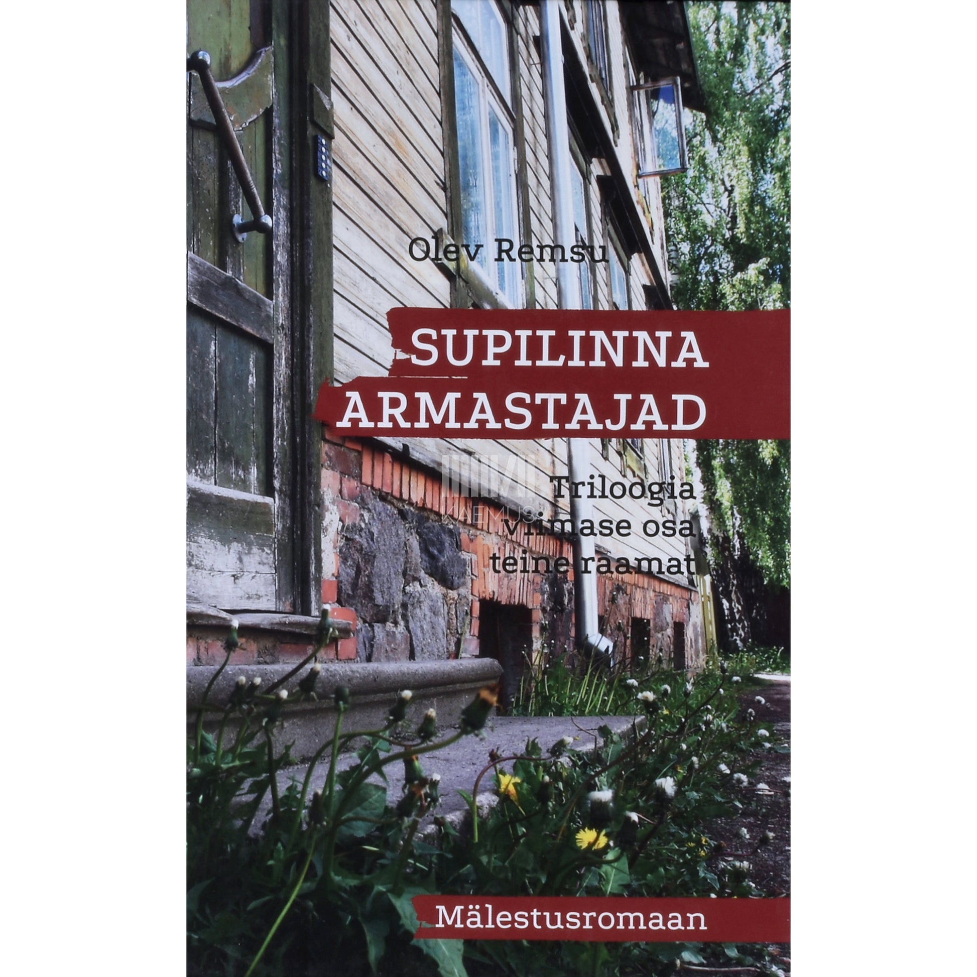 Olev Remsu. Supilinna armastajad
