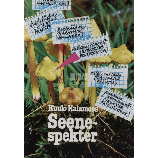 Kuulo Kalamees. Seenespekter