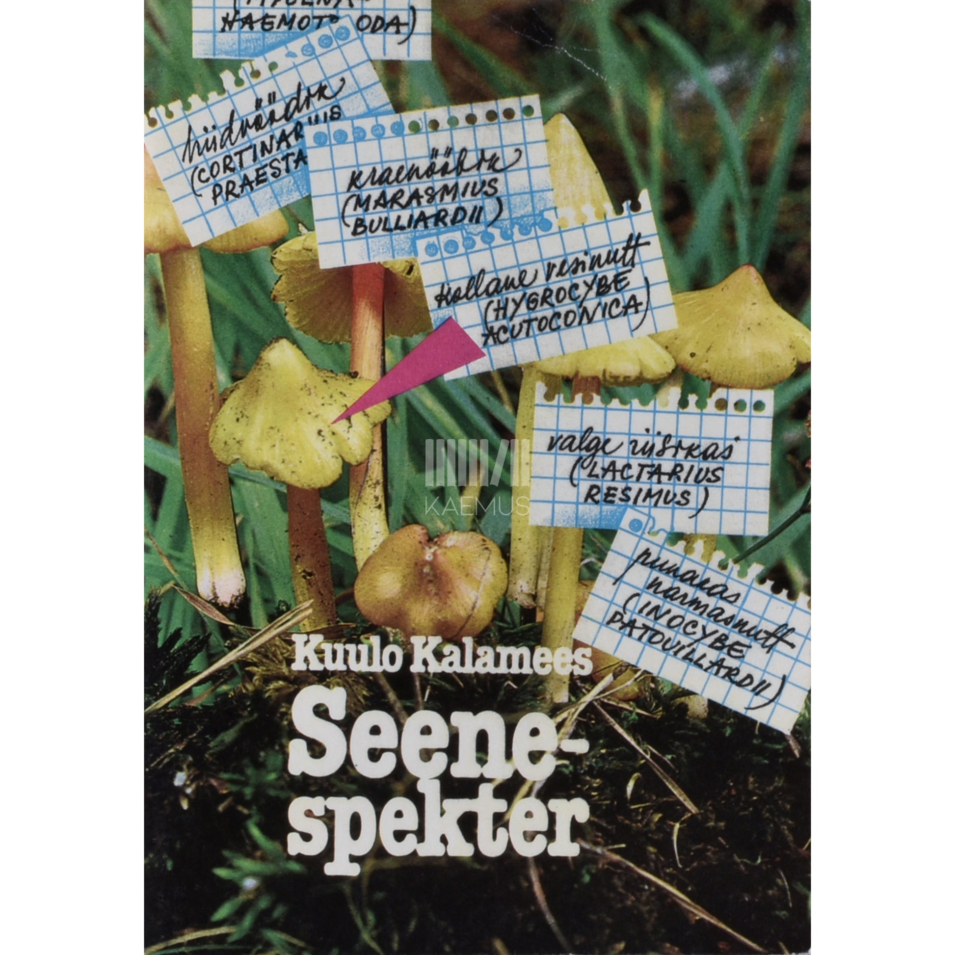 Kuulo Kalamees. Seenespekter