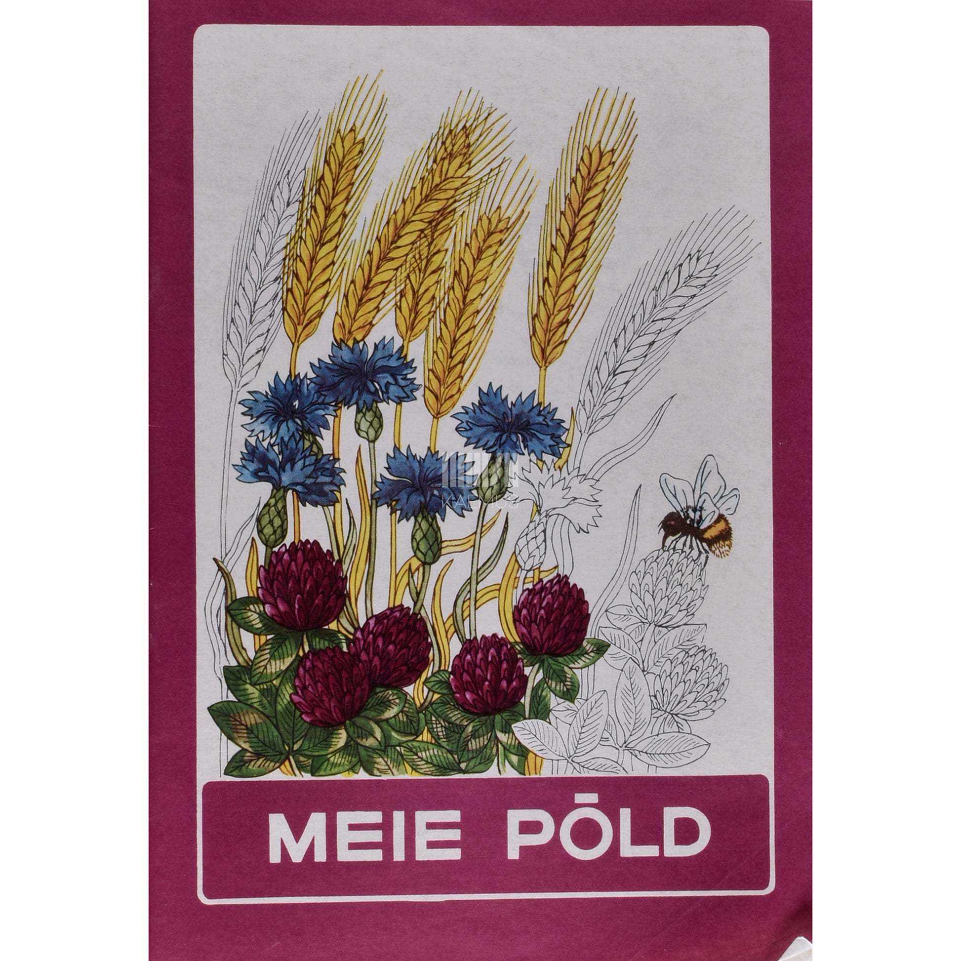 Meie põld. Värvimisvihik lastele