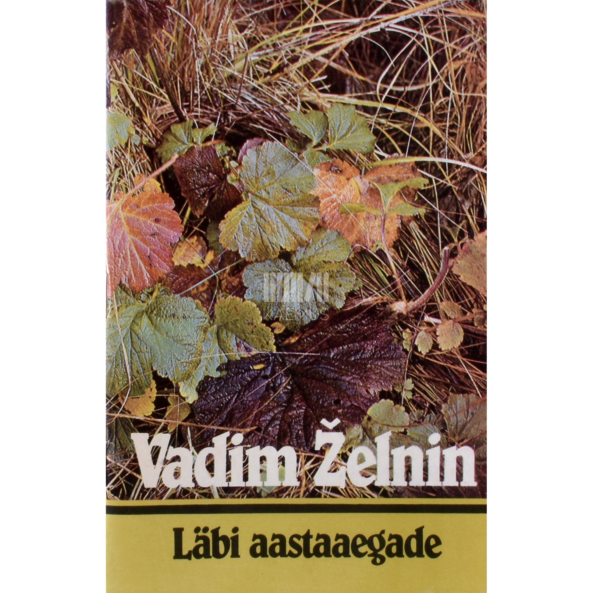 Vadim Želnin. Läbi aastaaegade