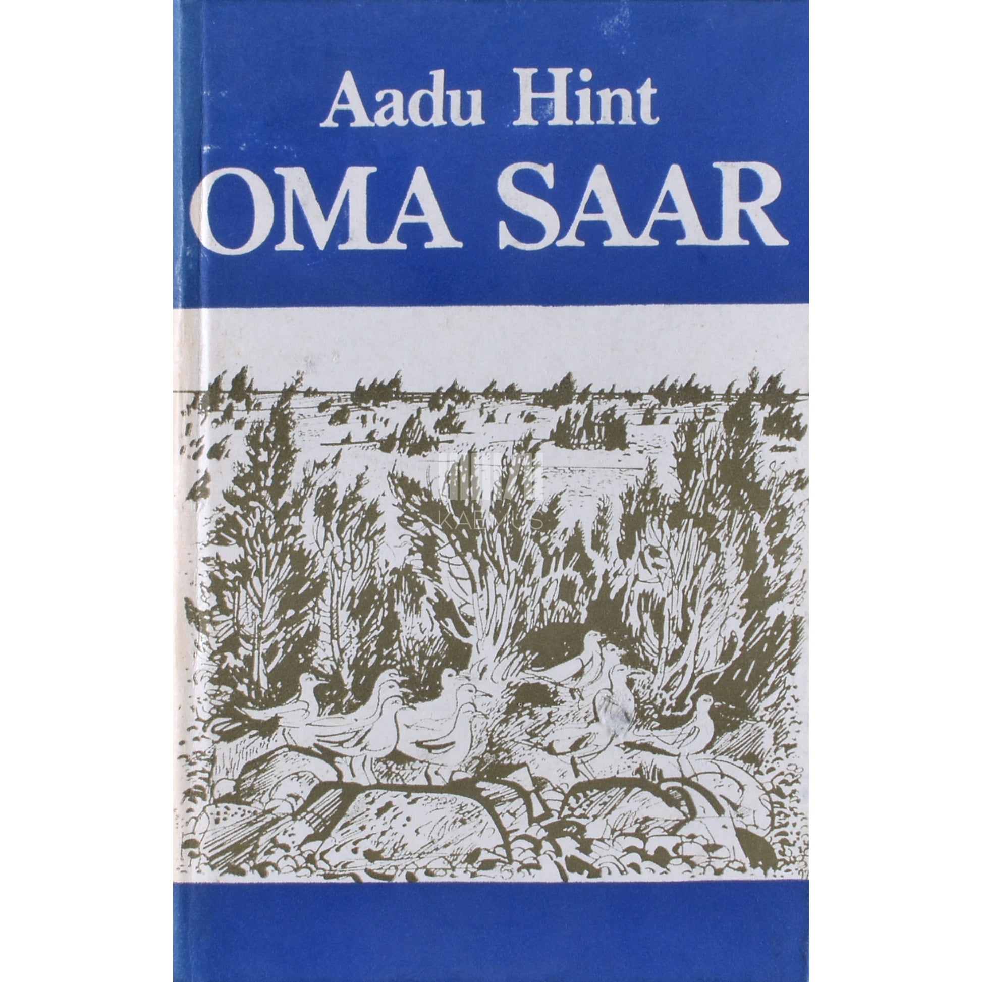 Aadu Hint. Oma saar. Paadelaid