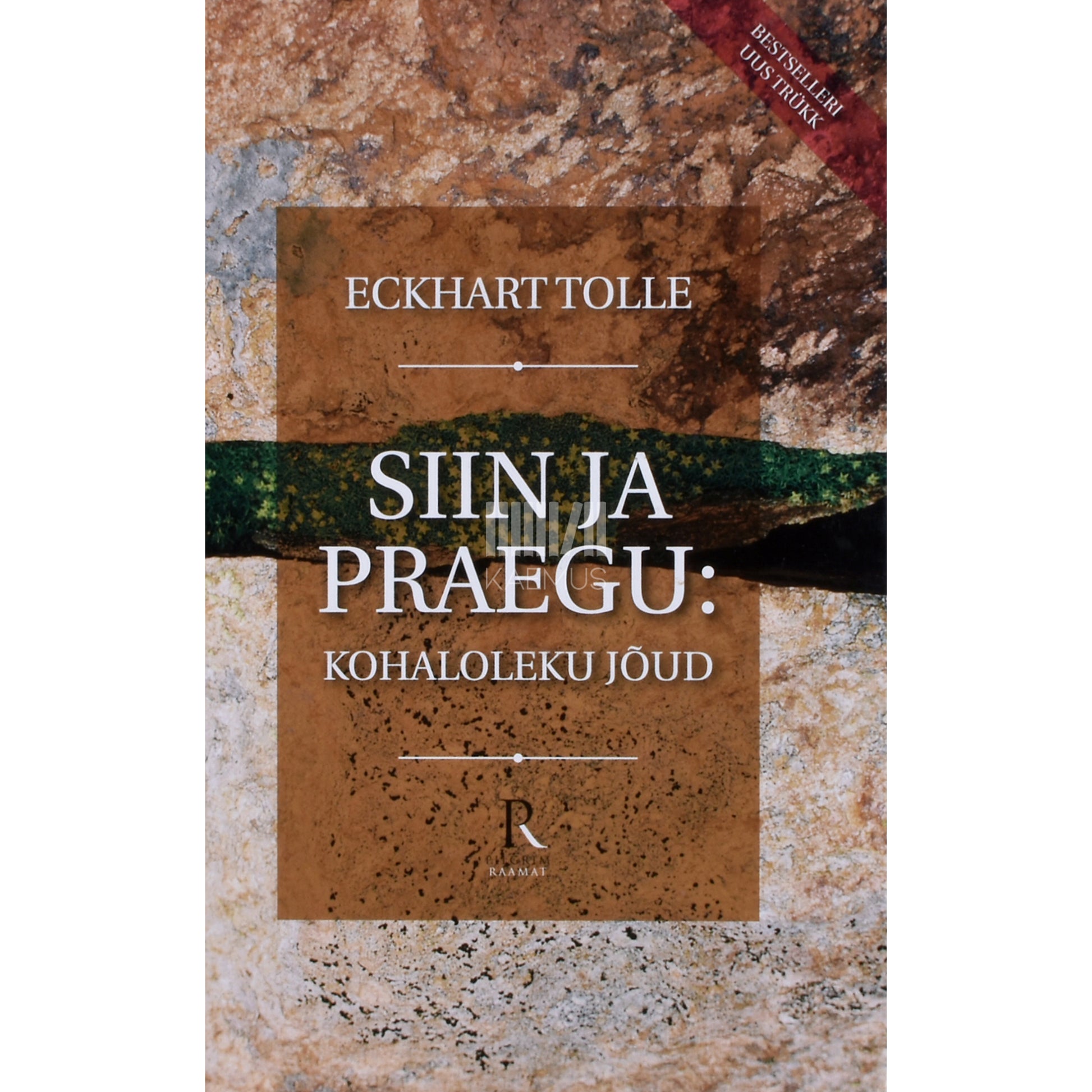 Eckhart Tolle. Siin ja praegu. Kohaloleku jõud