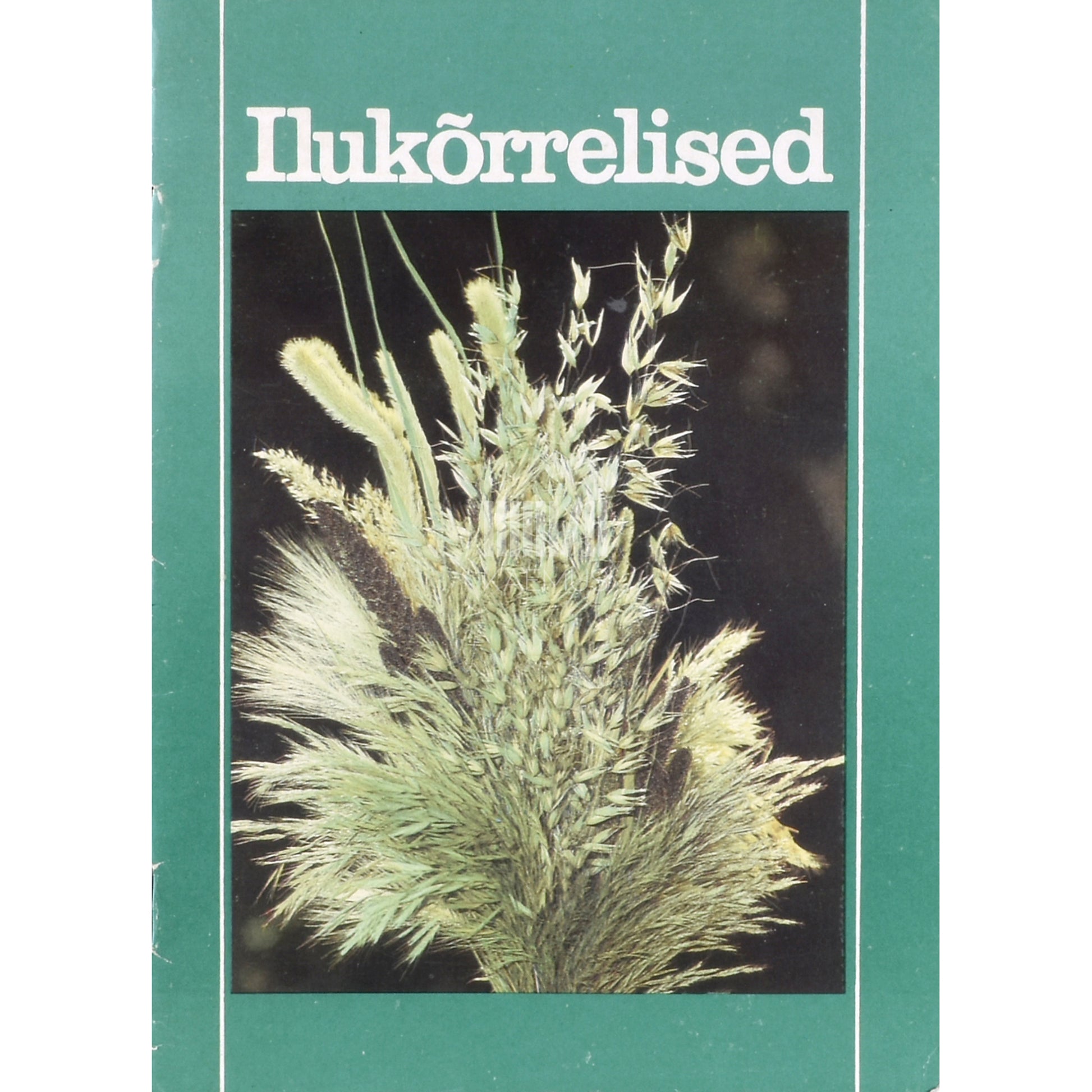 Ilukõrrelised