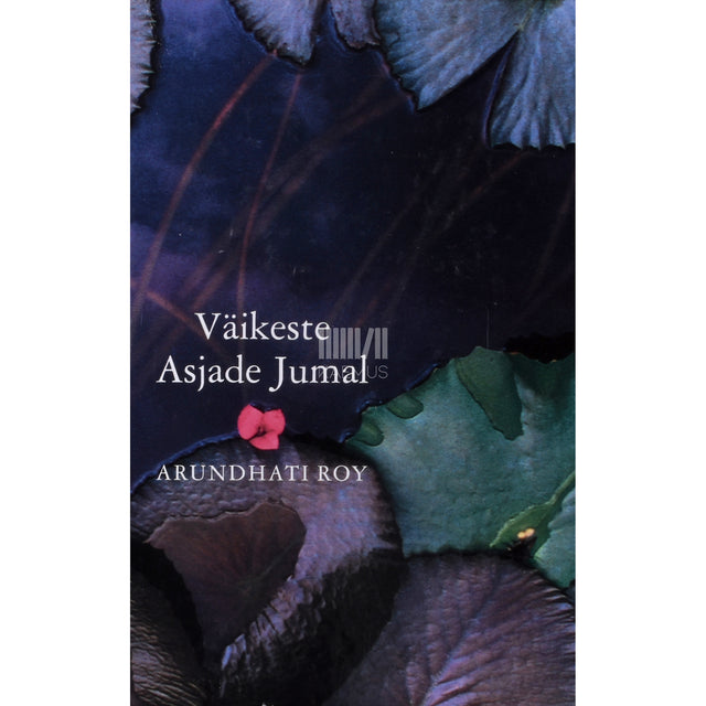 Arundhati Roy. Väikeste Asjade Jumal