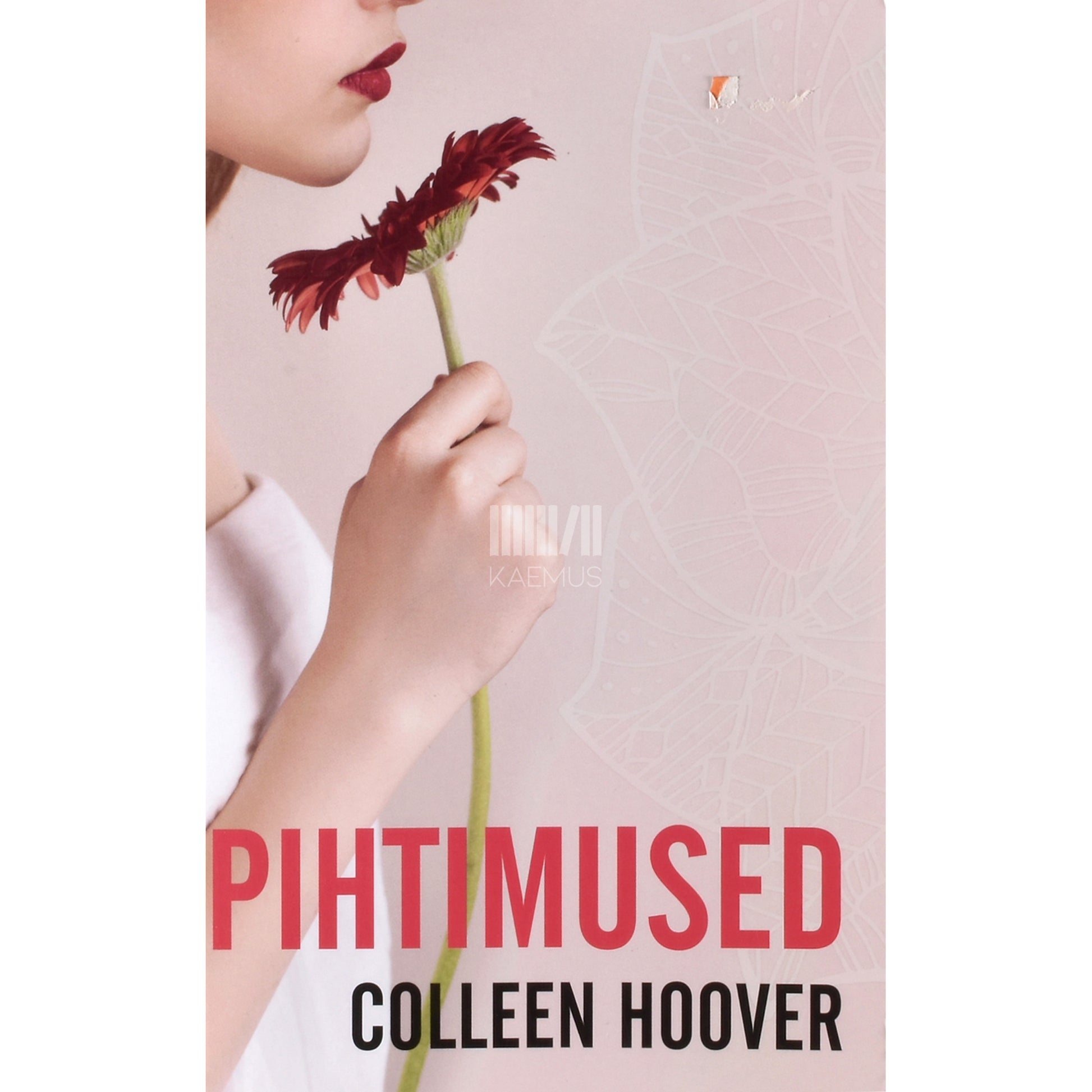 Colleen Hoover. Pihtimused