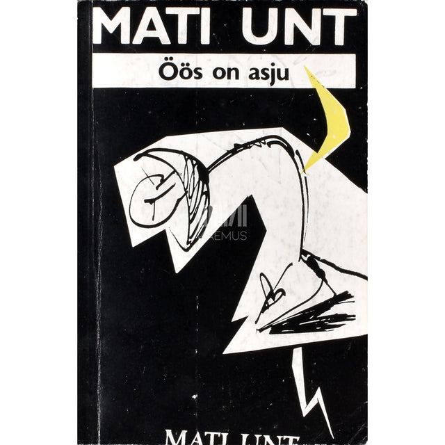 Mati Unt. Öös on asju