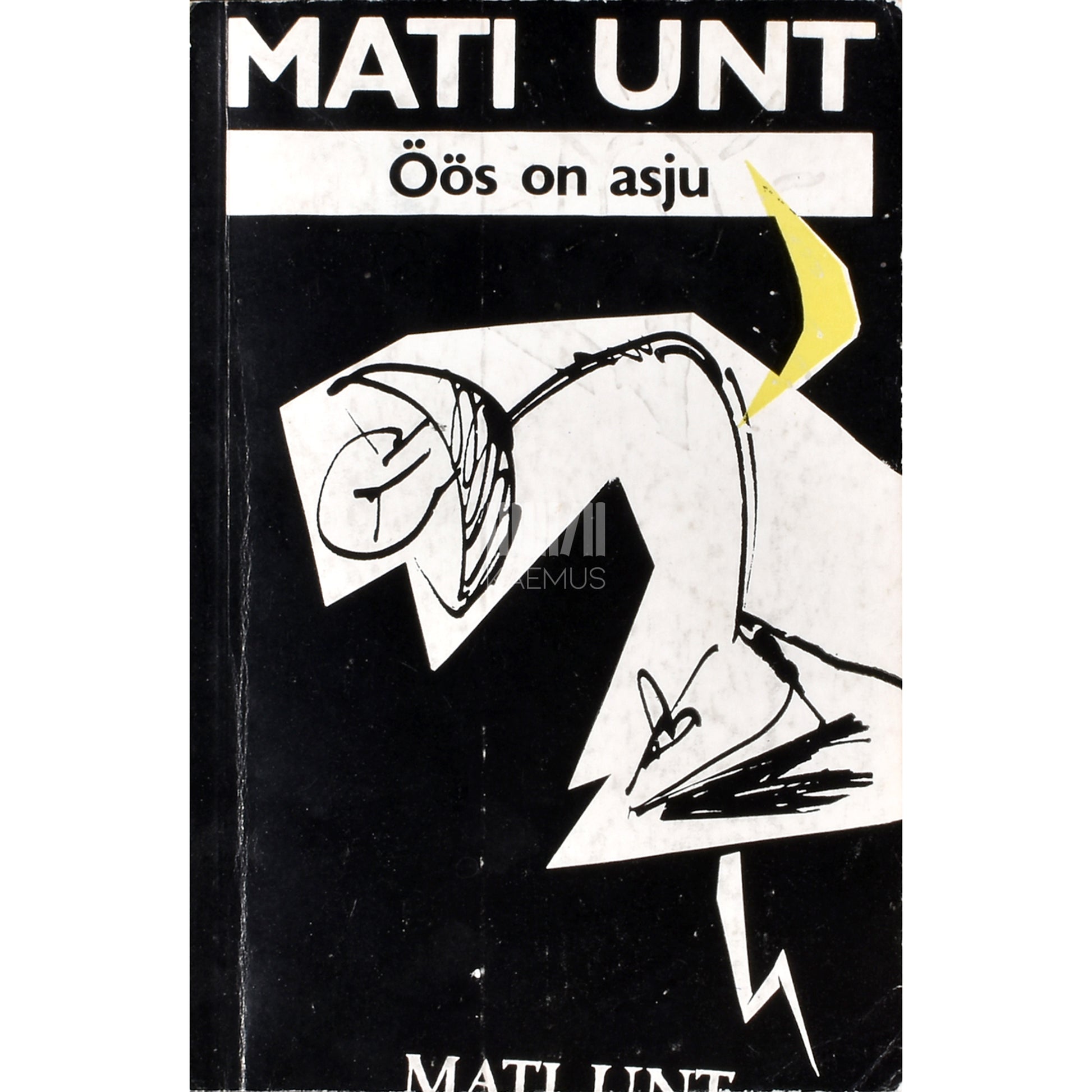 Mati Unt. Öös on asju