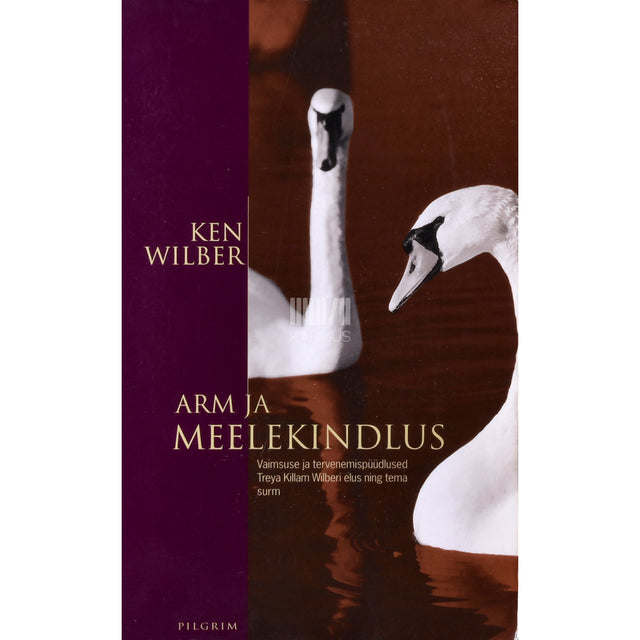Ken Wilber. Arm ja meelekindlus