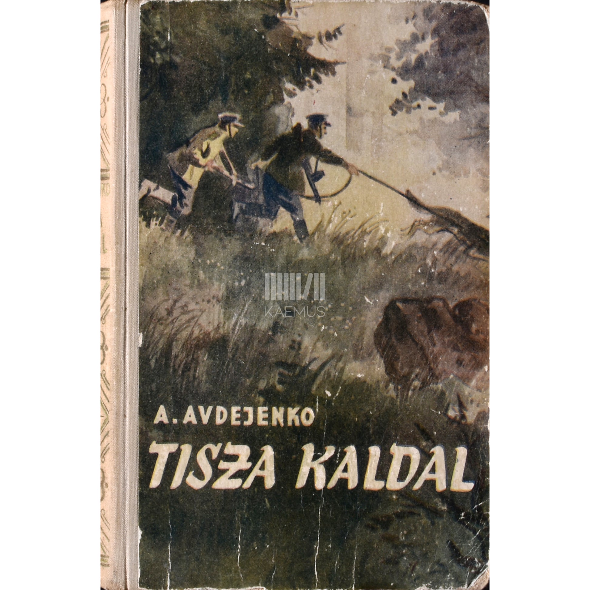 Aleksandr Avdejenko. Tisza kaldal