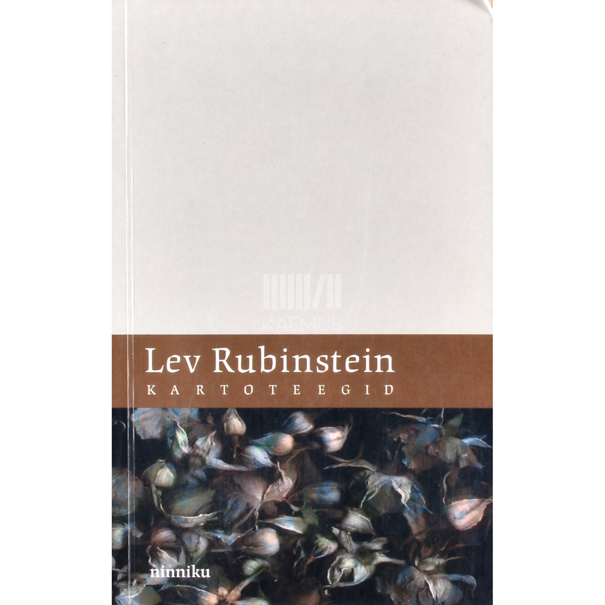 Lev Rubinštein. Kartoteegid