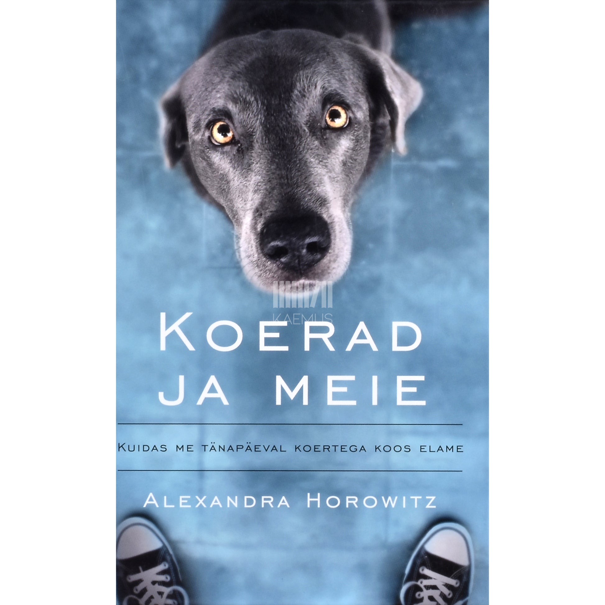 Alexandra Horowitz. Koerad ja meie