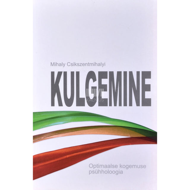 Mihaly Csikszentmihalyi. Kulgemine