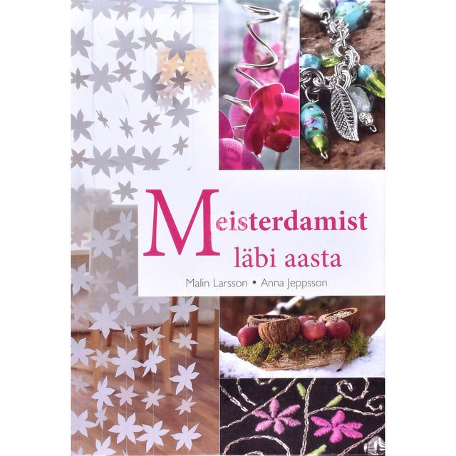Malin Larsson. Meisterdamist läbi aasta