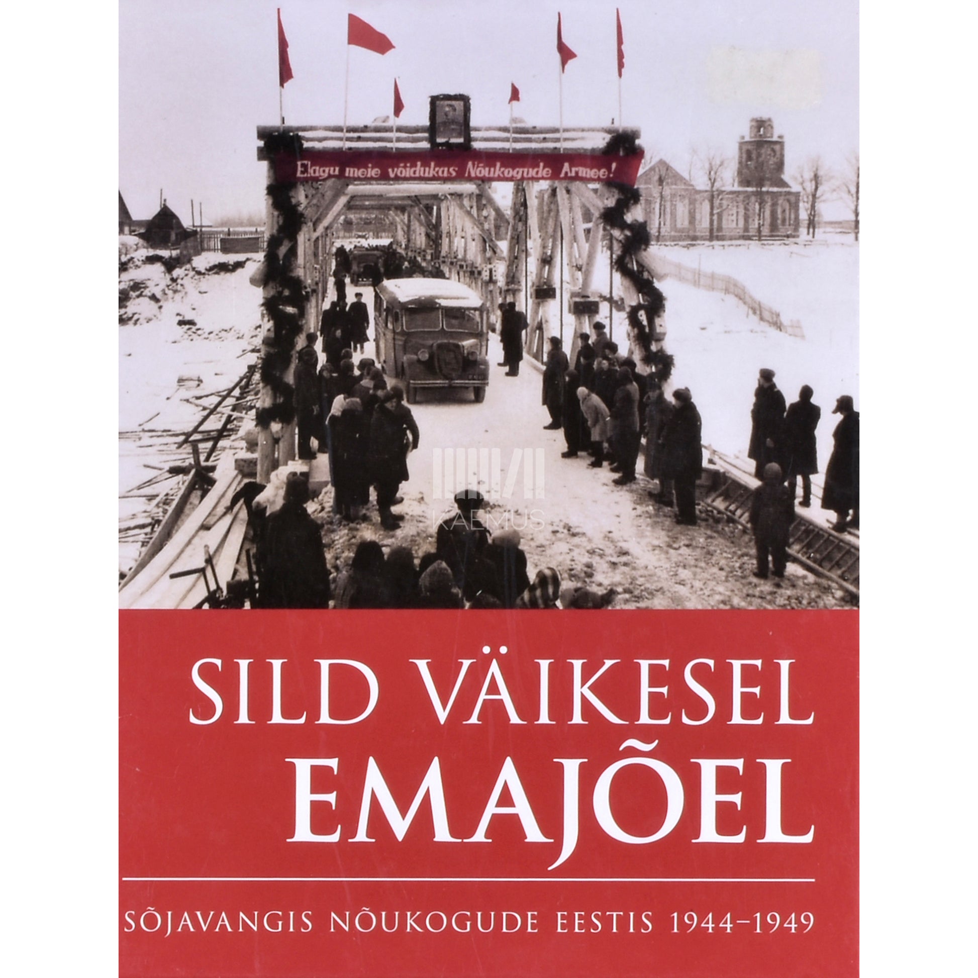 Hans-Werner Loeck. Sild Väikesel Emajõel