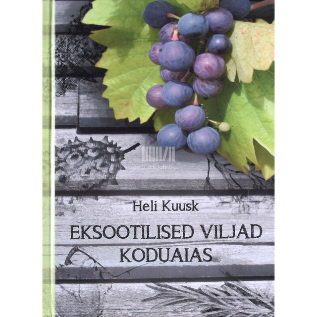 Heli Kuusk. Eksootilised viljad koduaias